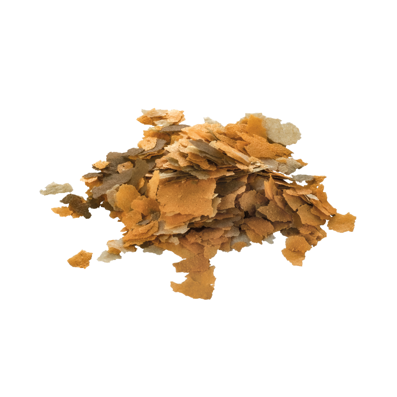 Tetra Rubin Flakes - Fish - Photo 2